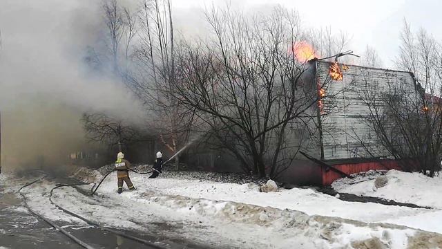 Пожар на Мира,31 2020 03 14 смотреть онлайн