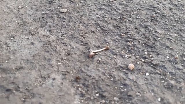 Порт Черноморск / Ильичевск 03.06.20 смотреть онлайн