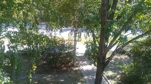 Самвел Адамян все-таки покупает квартиру / И не одну !