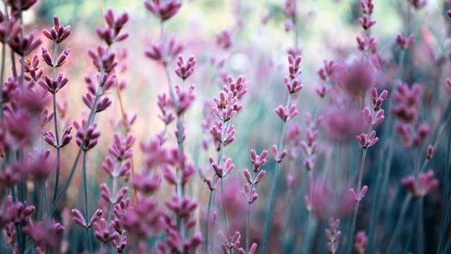 Христос во мне- христианский стих. смотреть онлайн