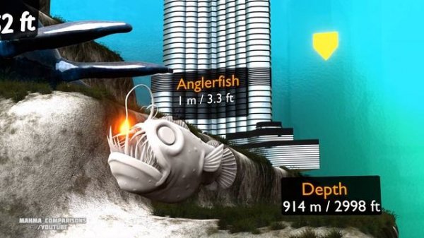 Deep Sea Creatures Depth Comparison | bloop | Sea Monster | ?