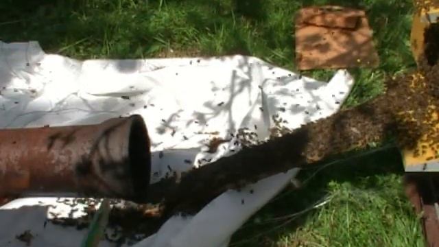 2017 год Рой в трубе ограждения смотреть онлайн