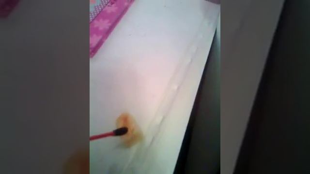 Исследования#1 Проверяем крахмал в продуктах смотреть онлайн