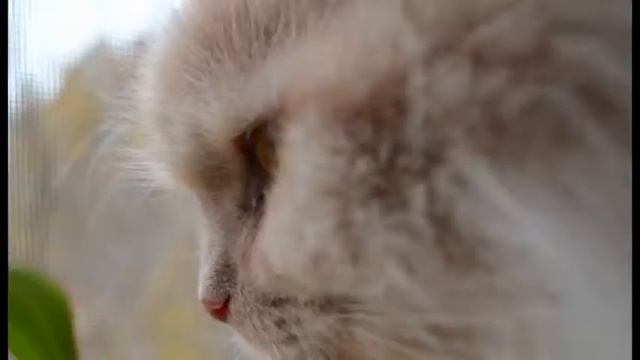 Взгляд со стороны смотреть онлайн