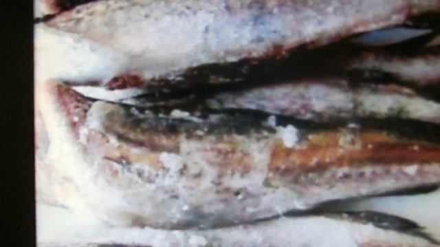 Весёлая история: 