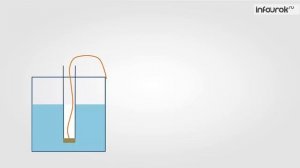 Давление в жидкости и газе | Физика 7 класс #29 | Инфоурок