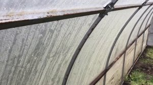 Теплица из профильной трубы под пленку и поликарбонат.