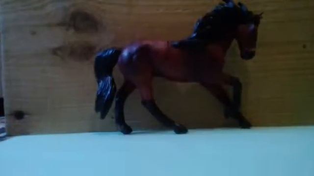 MO Андалузский жеребец Collecta