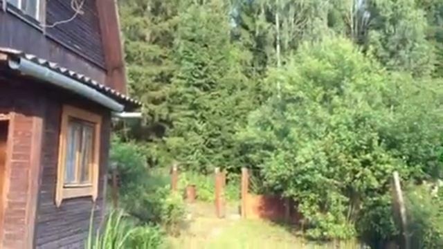 Дача в СНТ Электротехник у д. Клово ГП Наро-Фоминск смотреть онлайн