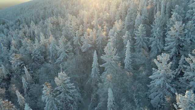 Планета "Пыхта" смотреть онлайн