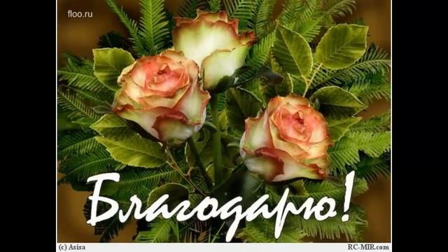 Благо-Дарю тебя! смотреть онлайн