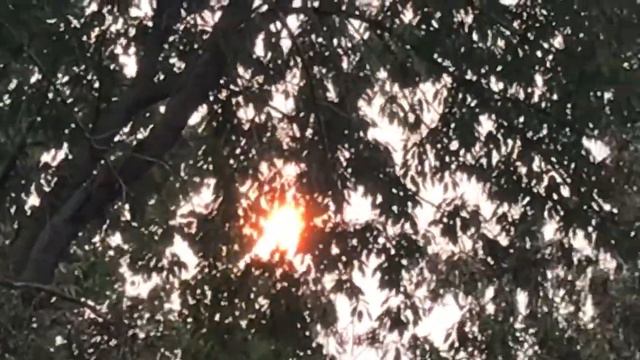 The Worst Smoke From Canadian Wild Fires Seen in Minnesota AQI 233: Very Unhealthy смотреть онлайн