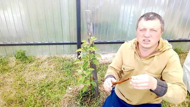 Строительная Таймлайн