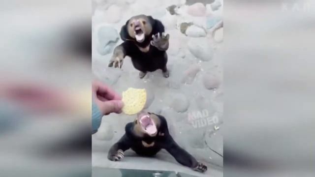 Смешная подборка,а может нет. #1 смотреть онлайн