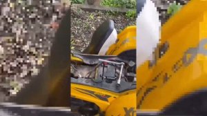 Порвался ремень вариатора? На квадроцикле MotoLand WILD TRACK PRO