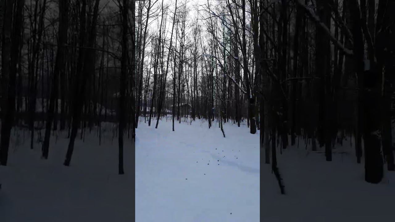 Парк зимой смотреть онлайн