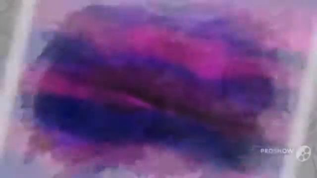 Strobilanthes - garden plants смотреть онлайн