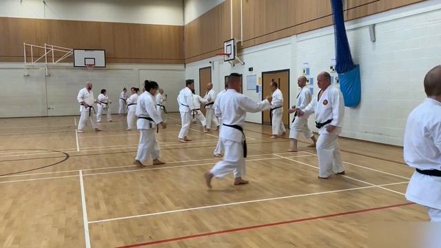 Sensei Katsu TJ at Sangaku Runcorn seminar / Chinte Bunkai смотреть онлайн