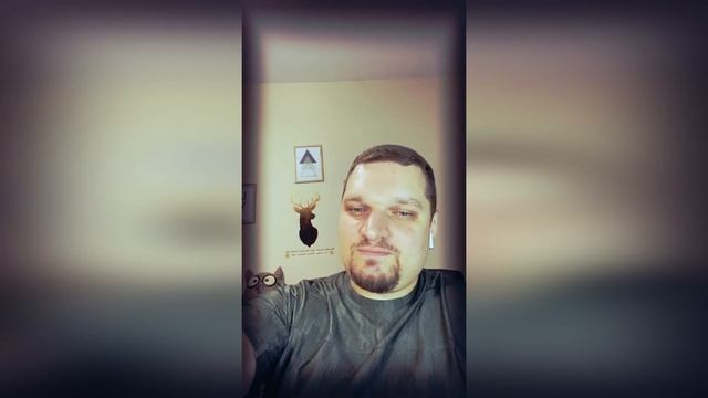 Понимание тайной комнаты смотреть онлайн