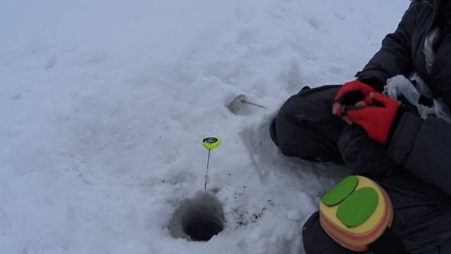Рыбалка на Инском водохранилище. 16.12.2018г. смотреть онлайн