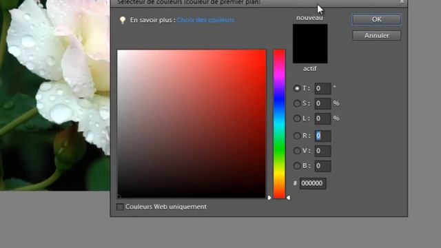 Formation Photoshop Éléments 10: Les outils Gomme, Pinceau, Forme dynamique. смотреть онлайн