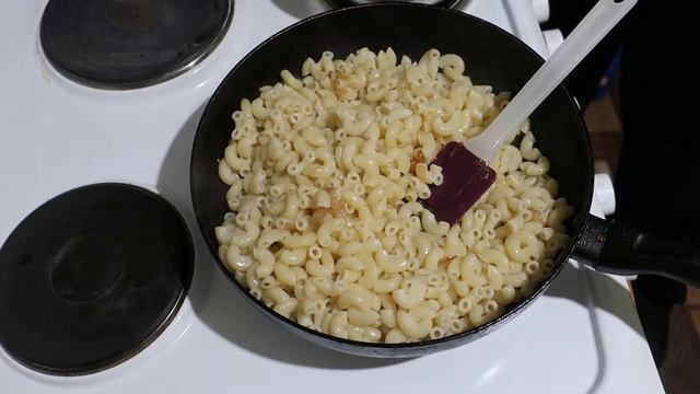 Грибы и их роль в развитии лесной экосистемы