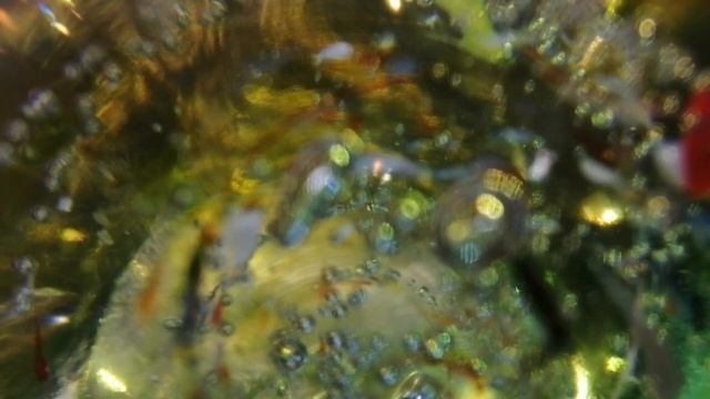 СЕРДЦЕ К СЕРДЦУ НЕ ПРИКОВАНО. АННА АХМАТОВА. СТИХИ О ЛЮБВИ. ЧИТАЕТ ОЛЬГА ШУБИНА. 27.03.2021 18 + смотреть онлайн