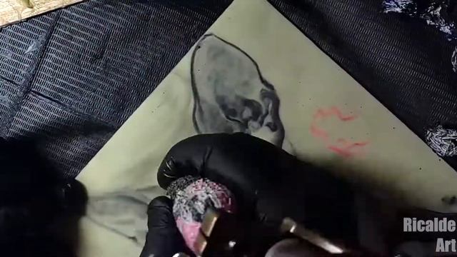 sphynx cat tattoo practice смотреть онлайн