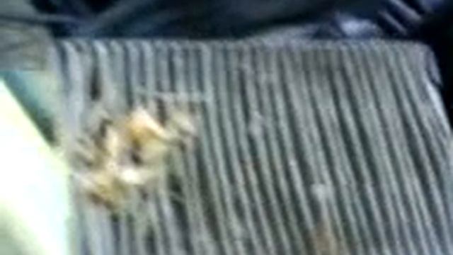 Тихий ужас - салонный фильтр в авто смотреть онлайн