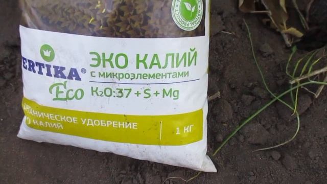 Супер удобрение для малины. Подкормка в июне необходима. смотреть онлайн