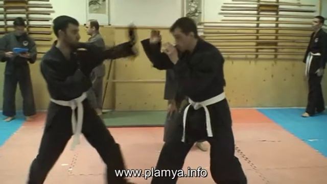 ПЛАМя - рукопашный бой - удары ладонью смотреть онлайн