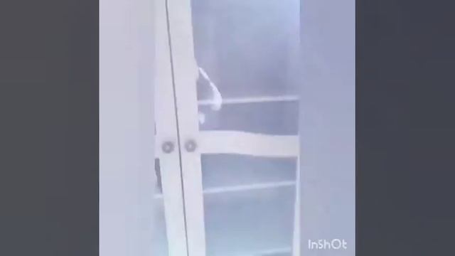 Лебо - мебель для детской комнаты из натурального дерева смотреть онлайн