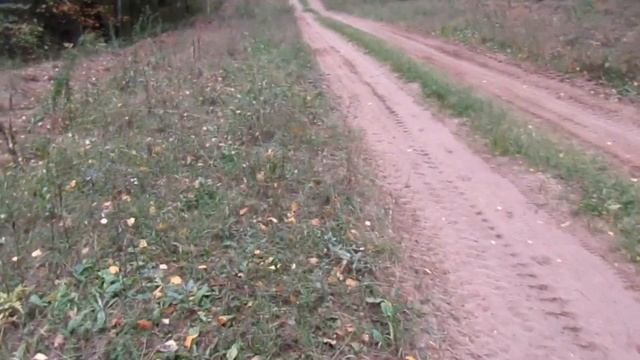 металлокоп на MD4030 в парке. смотреть онлайн