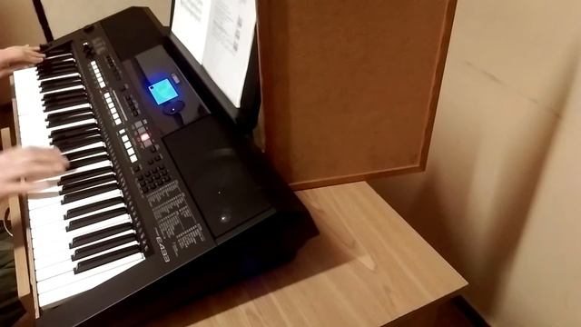MNIEJ NIŻ ZERO - LADY PANK /COVER YAMAHA PSR E433/ смотреть онлайн