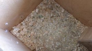 Уборка в гнезде волнистых попугаев, разведение, уход за птенцами.