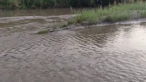 Рыбалка На Реке Подкумок. Ловля Усача.