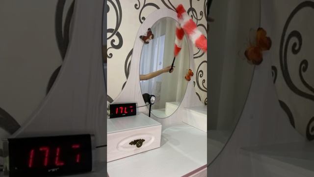 Всем привет, это моя эстетичная уборка своей комнате. Всем желаю приятного просмотра. 🤍🍿 смотреть онлайн
