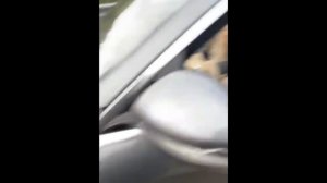 Давидыч. новая BMW М5 CS Сочи