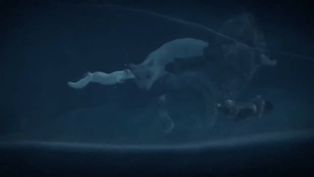 ИГРЫ НА ДВОИХ НА ОДНОМ КОМПЬЮТЕРЕ| ТОП ИГР НА ДВОИХ НА ОДНОМ ПК | Игры для пк по split screen смотреть онлайн