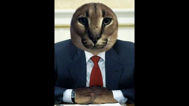 Новая информация об канале (видео не удаляю) смотреть онлайн