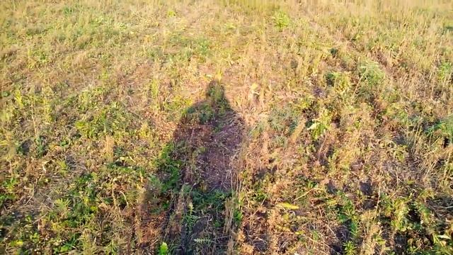 Снова сеем рожь 2021 смотреть онлайн