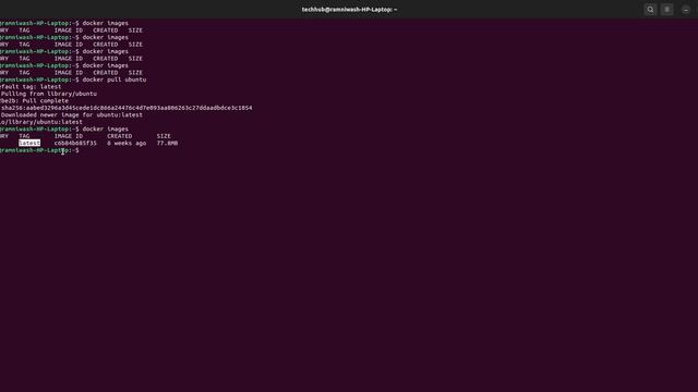Session 3 : Basic Commands of Docker | TechHub #docker #dockercontainer смотреть онлайн