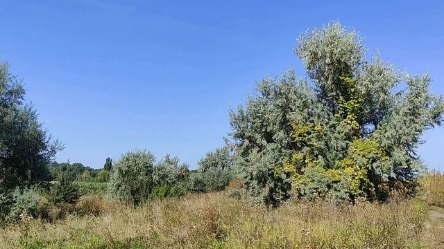 Почему нельзя смотреть в окно... смотреть онлайн