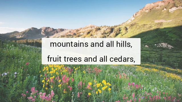 Psalm 148 - NLT Audiovisual смотреть онлайн