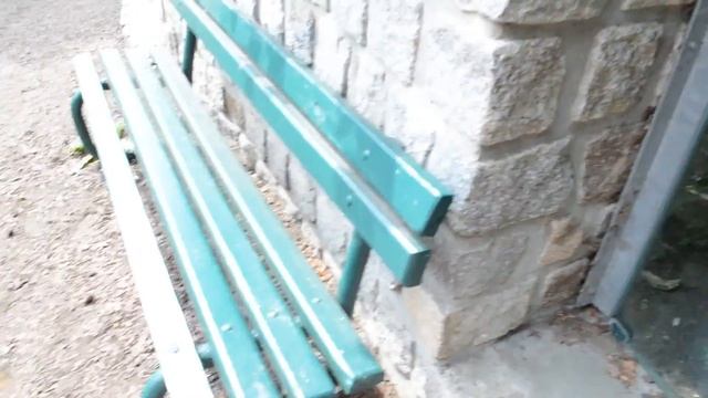 6. Что любят есть коты и собаки. (Марта, зоопарк, Штральзунд, Германия) смотреть онлайн