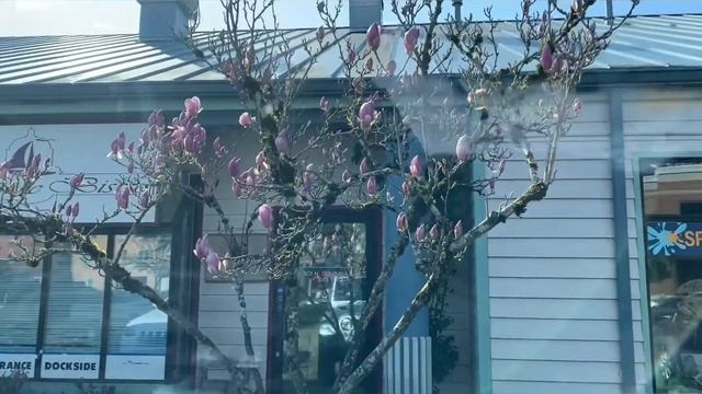 Прогулка в городе Олимпия штат Вашингтон смотреть онлайн