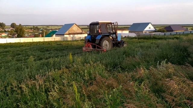 МТЗ 82 косит огород с люцерной смотреть онлайн