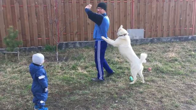 Максик и Лютик смотреть онлайн