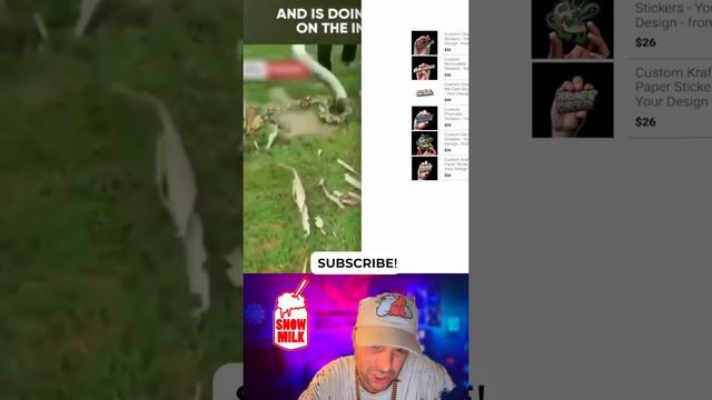 3 boys fight off python to save their pet dog смотреть онлайн