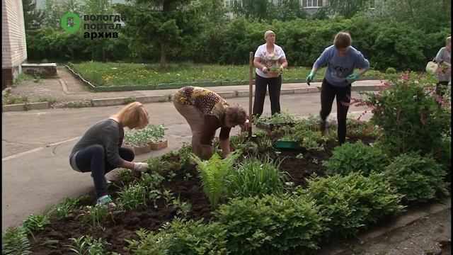 Большой спортивный праздник прошел в Вологде в рамках проекта «Поколения в контакте» смотреть онлайн